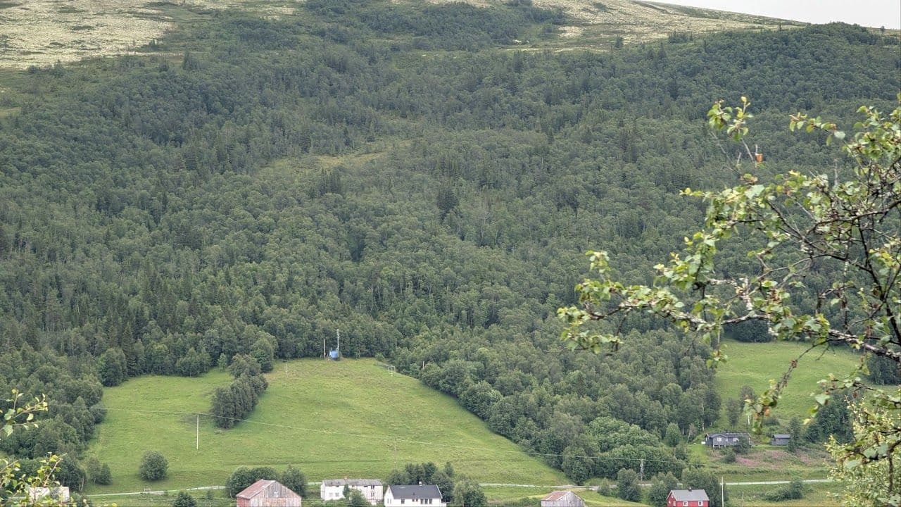 The blue container looks small from the other side